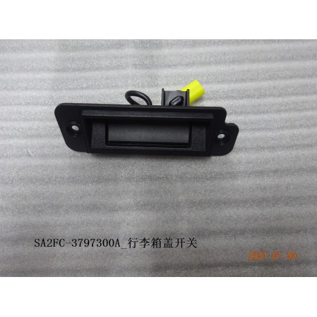 Interrupteur du couvercle du coffre - BYD - 12665823-00