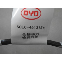 Faisceau de câbles d'échantillonnage - SCEC-4613156 - 2 000 mm - BYD - 12663579-00