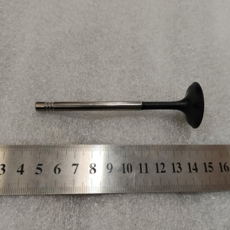 Valve d'admission - BYD - 12656872-00