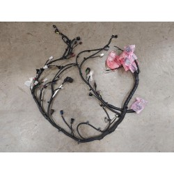 ENGINE WIRING HARNESS - Faisceau de câblage moteur - BYD - 19557553-00