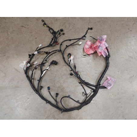 ENGINE WIRING HARNESS - Faisceau de câblage moteur - BYD - 19557553-00
