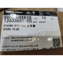 Bougie d'allumage - BYD - 12633651-00