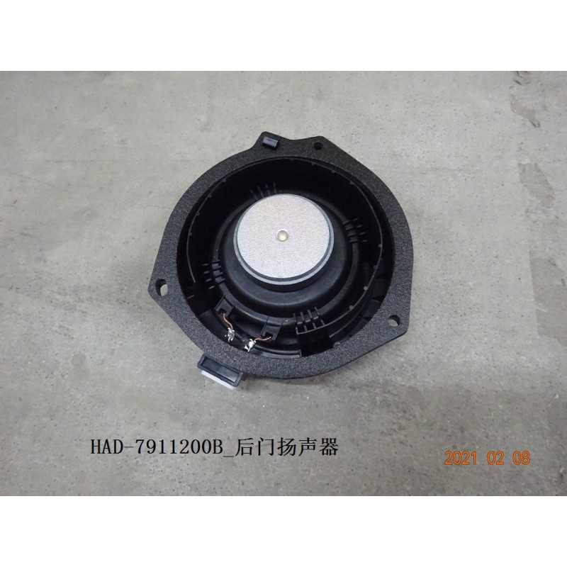 Haut-parleur, porte, arrière - BYD - 12615917-00