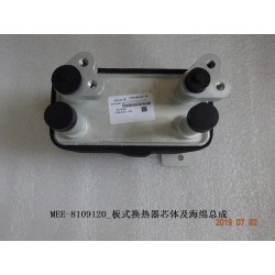 Noyau et éponge, échangeur de chaleur à plaques - BYD - 12564693-00