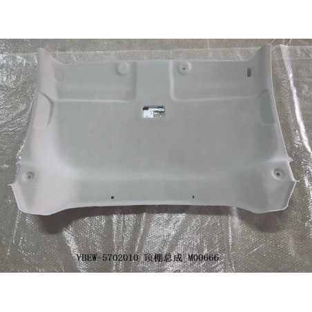 Toit. - BYD - 12549237-00