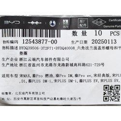 Écrou hexagonal - BYD - 12543877-00