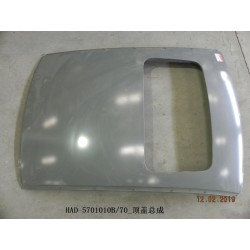 Toit. - BYD - 12522163-00