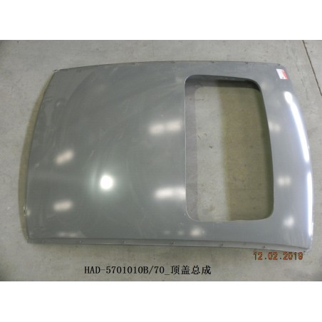 Toit. - BYD - 12522163-00