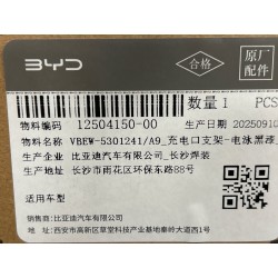 Support de port de charge - peinture noire électrophorétique - BYD - 12504150-00
