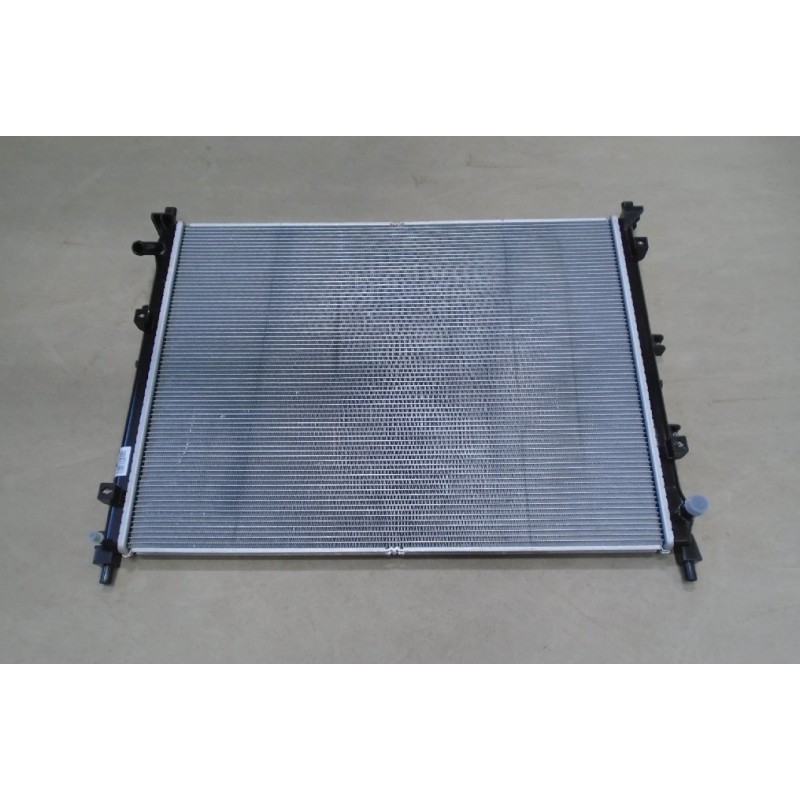 Radiateur haute température - BYD - 12463404-00