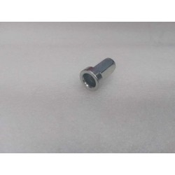 Écrou à riveter à tête plate - BYD - 12462401-00