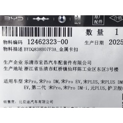 Clip en métal - BYD - 12462323-00