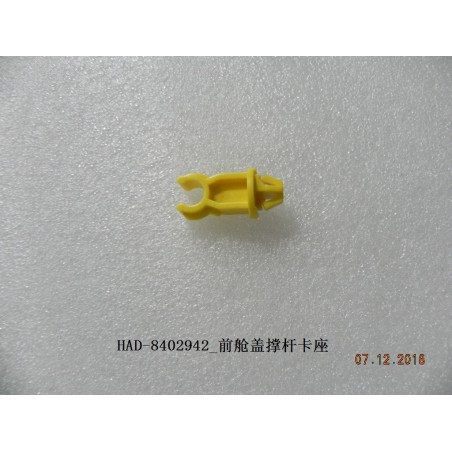Agrafe de barre de maintien, trappe de compartiment, avant - BYD - 12460878-00