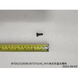 Boulon à tête cylindrique bombée à six pans creux - BYD - 12444439-00