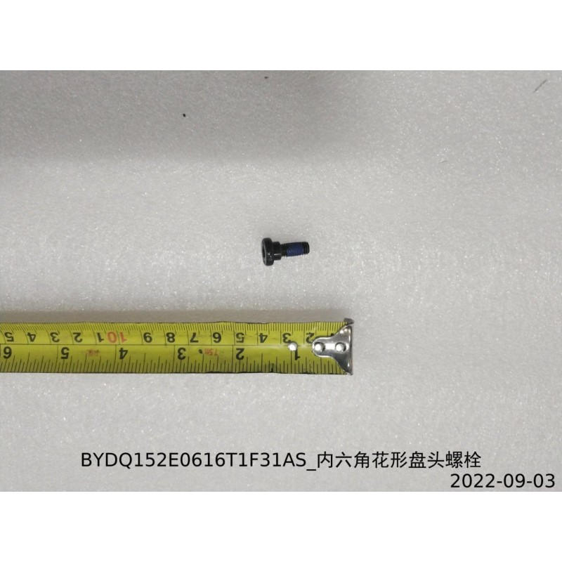 Boulon à tête cylindrique bombée à six pans creux - BYD - 12444439-00