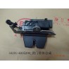 Assy. de verrouillage de porte arrière. - BYD - 12406898-00