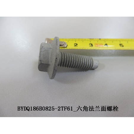 Boulon à bride hexagonale - BYD - 12401795-00