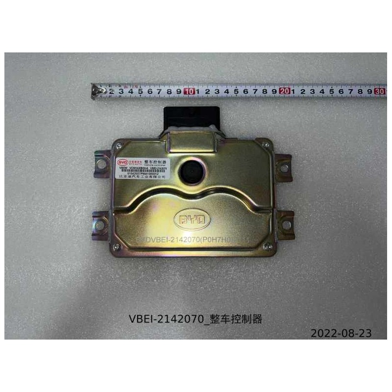 Contrôleur de véhicule - BYD - 12356909-00