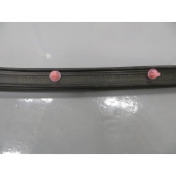 Bande d'étanchéité de la portière arrière gauche - BYD - 12332319-00