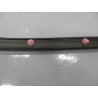 Bande d'étanchéité de la portière arrière gauche - BYD - 12332319-00