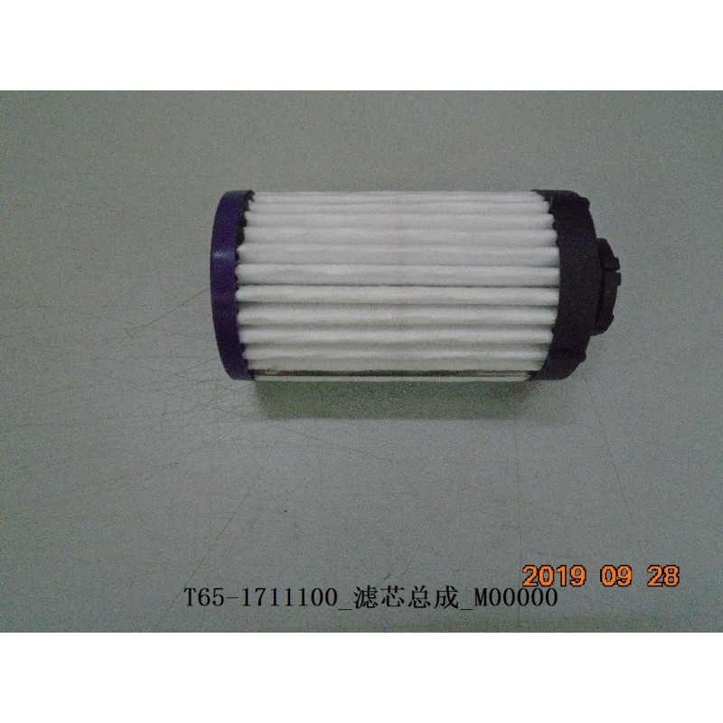 Élément filtrant - BYD - 12314254-00