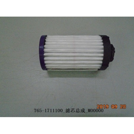 Élément filtrant - BYD - 12314254-00