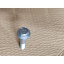 Boulon à bride hexagonale - BYD - 12310657-00