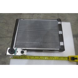 Noyau de l'évaporateur arrière avec l'ensemble de détendeur - BYD - 12300282-00