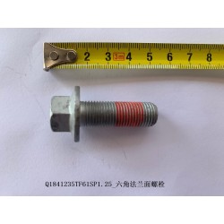 Boulon à bride hexagonale - BYD - 12298313-00