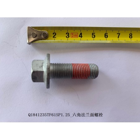 Boulon à bride hexagonale - BYD - 12298313-00