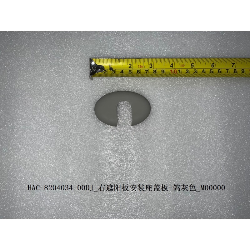 Plaque de couverture, base de montage, pare-soleil, droit - gris - BYD - 12293011-00