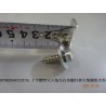 Vis autotaraudeuse - BYD - 12270841-00