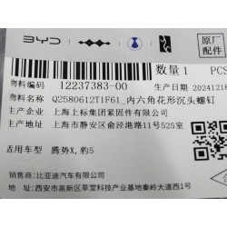 Vis à tête fraisée hexagonale - BYD - 12237383-00
