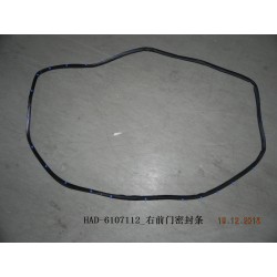 Joint d'étanchéité, porte, av - BYD - 12225861-00
