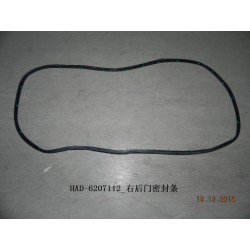 Joint d'étanchéité, porte, arrière - BYD - 12225799-00