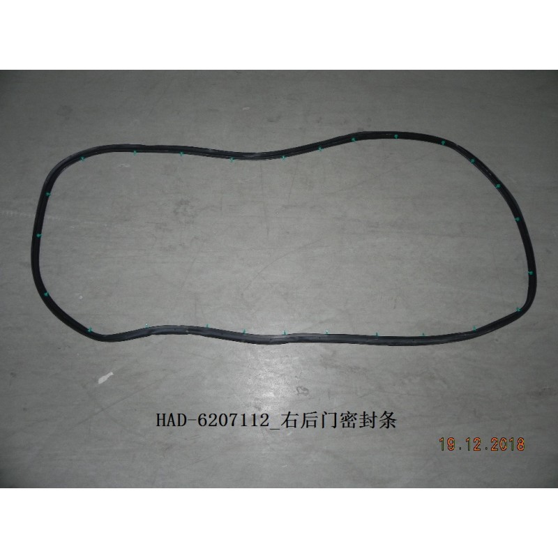 Joint d'étanchéité, porte, arrière - BYD - 12225799-00