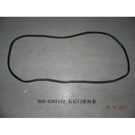 Joint d'étanchéité, porte, arrière - BYD - 12225799-00