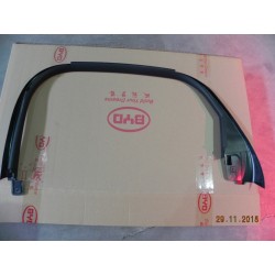 Garde de cadre de fenêtre de porte arrière gauche - BYD - 12216761-00