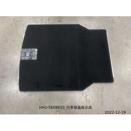 Plaque de couverture, couvercle de coffre - BYD - 12216419-00