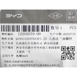 Boulon à embase hexagonale - BYD - 12202070-00