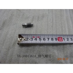 Vis de purge - BYD - 12198262-00