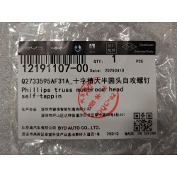 Vis autotaraudeuse - BYD - 12191107-00