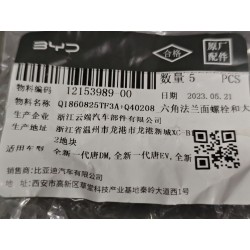 Boulon à bride hexagonale - BYD - 12153989-00
