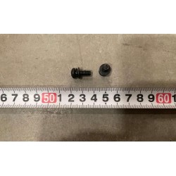 Vis à tête bombée - BYD - 12152294-00