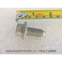 Boulon à bride hexagonale - BYD - 12152203-00