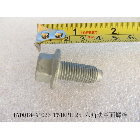 Boulon à bride hexagonale - BYD - 12152203-00