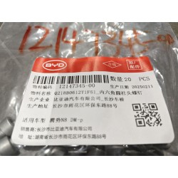 Vis à tête cylindrique à six pans creux - BYD - 12147345-00