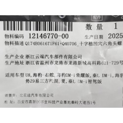 Boulon à tête hexagonale à empreinte Phillips avec indentation - BYD - 12146770-00