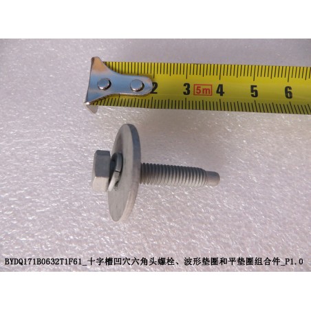 Boulon à tête hexagonale à empreinte Phillips avec indentation - BYD - 12139764-00