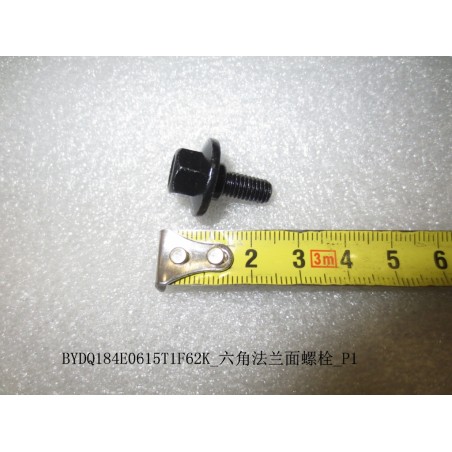 Boulon à bride hexagonale - BYD - 12139673-00